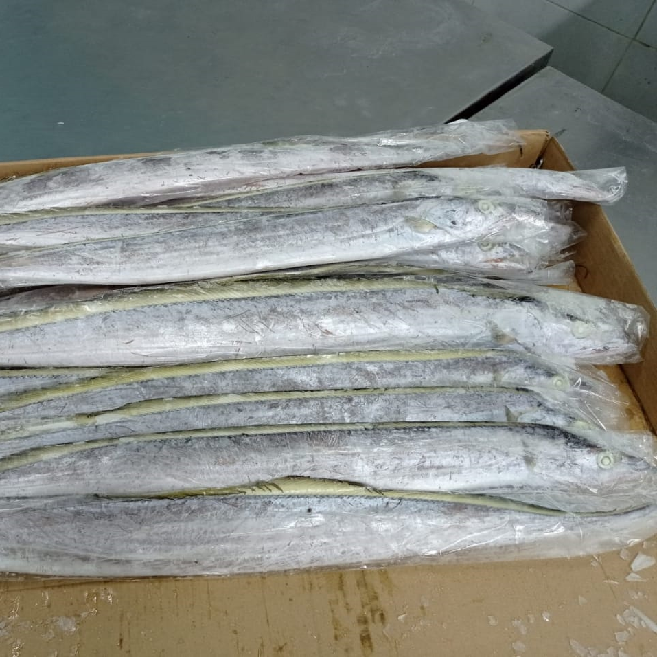 ikan_layur_beku_foto